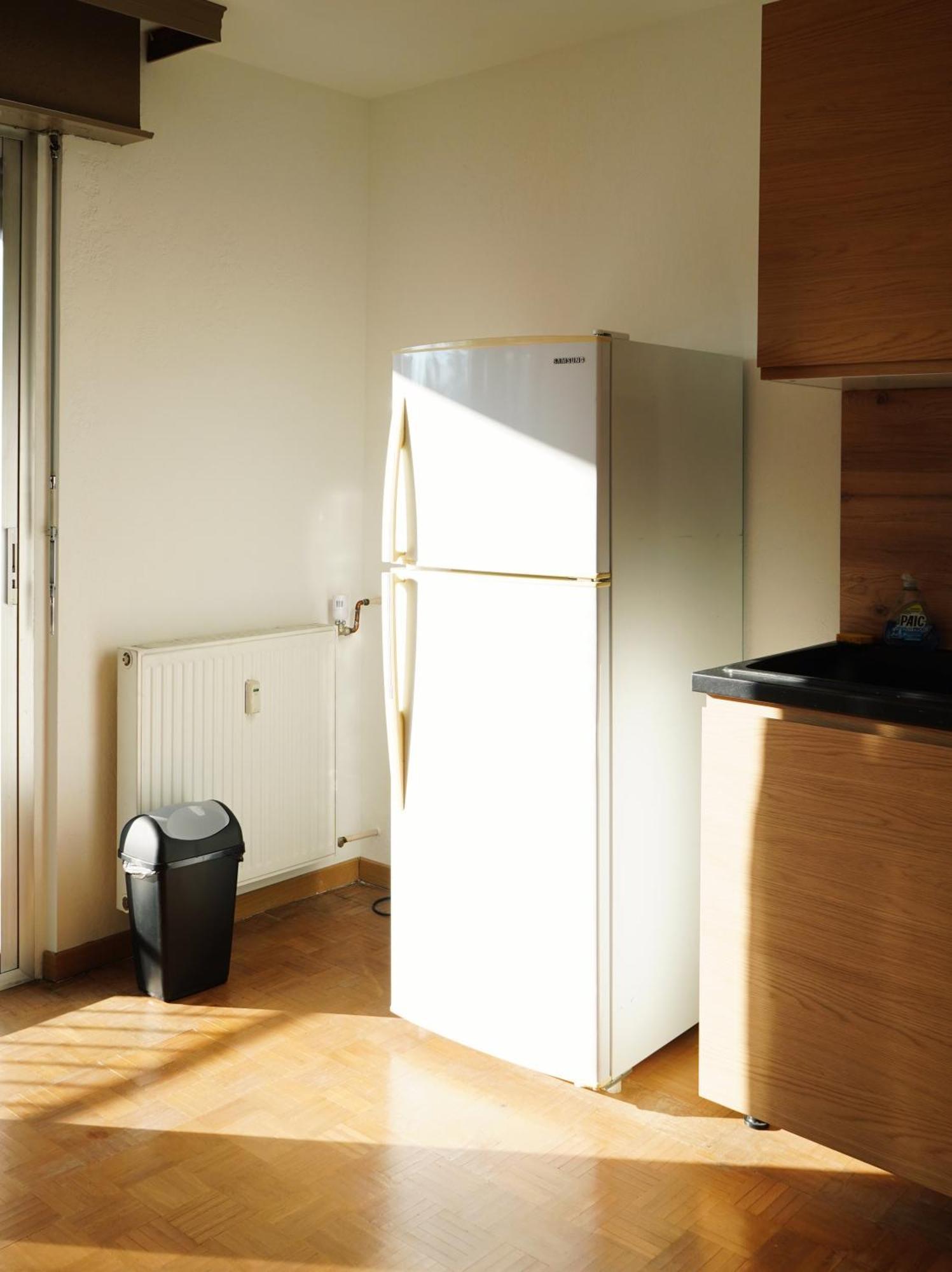 Apartement Saint Louis Train Station- Euroairport- Basel Ngoại thất bức ảnh